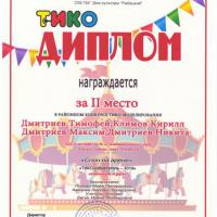 IMG (2)